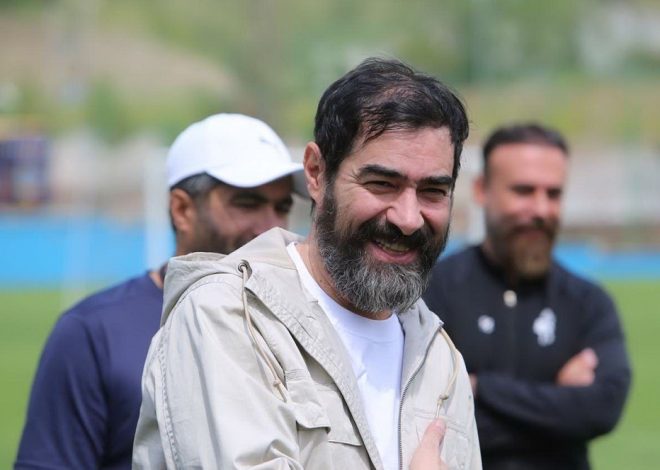 بیوگرافی شهاب حسینی و همسر اول و دوم و علت طلاق + حواشی